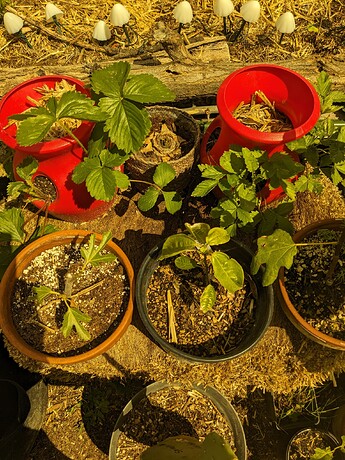 PXL_20240616_210739306