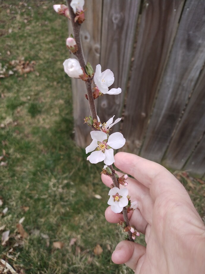 IMG_20220324_133734548