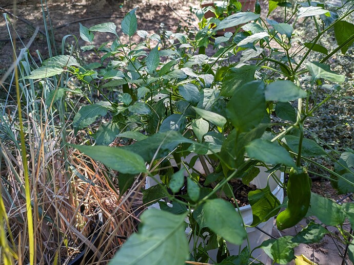 PXL_20230903_222726665