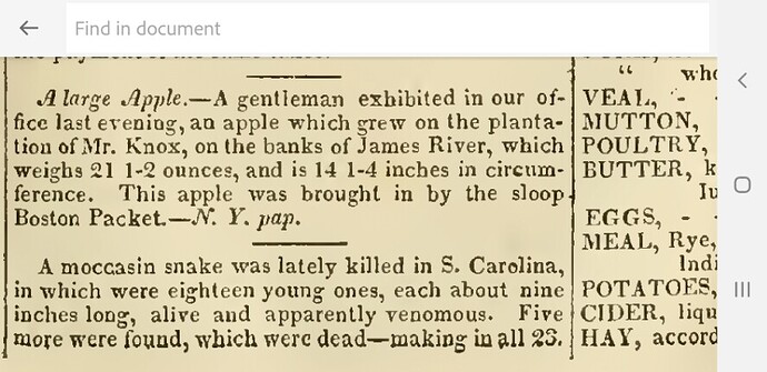 Resizer_17057565213750