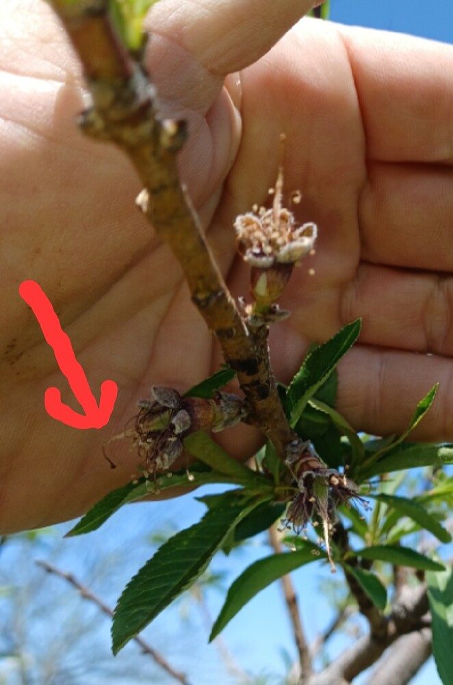 Screenshot_20250410_112714_Photo Editor