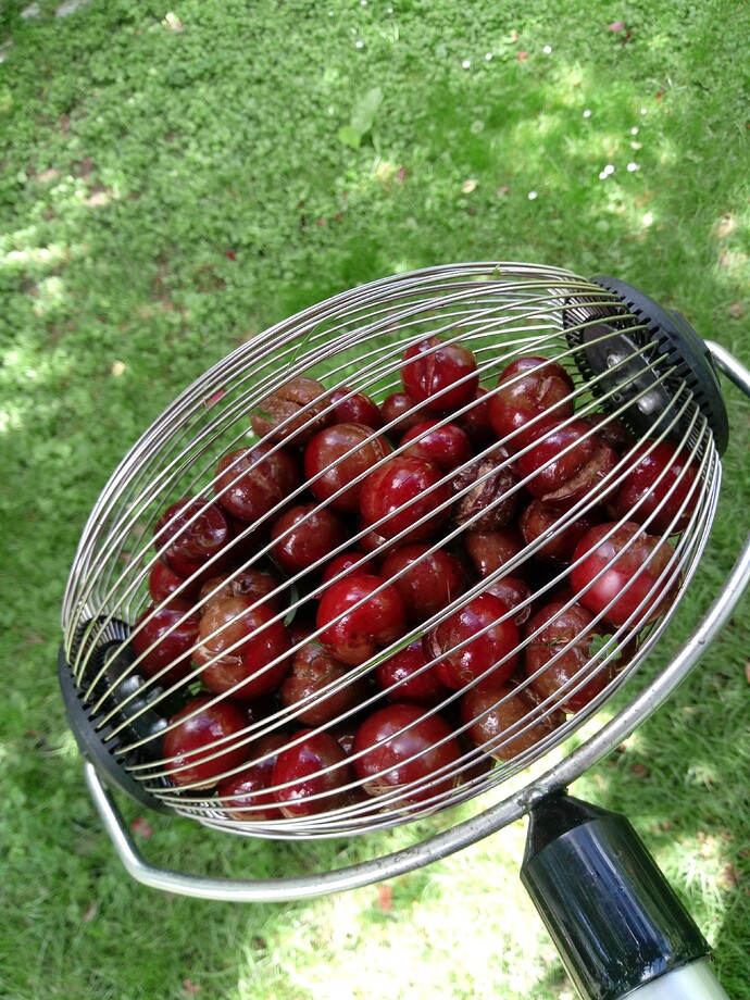 IMG_20240615_142101_898