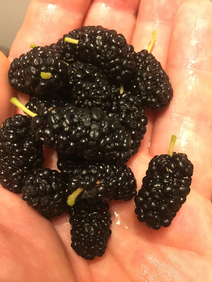 C965F203-3E7D-43CC-8F0F-763D38E3CCA1