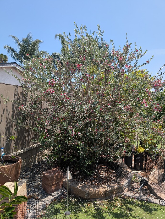 PXL_20250523_190200194