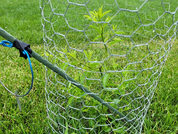 16568599395985459960550017576276