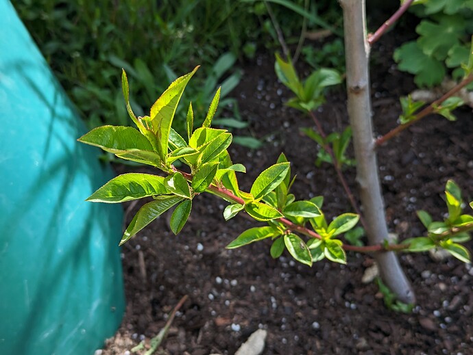 PXL_20230427_165830034