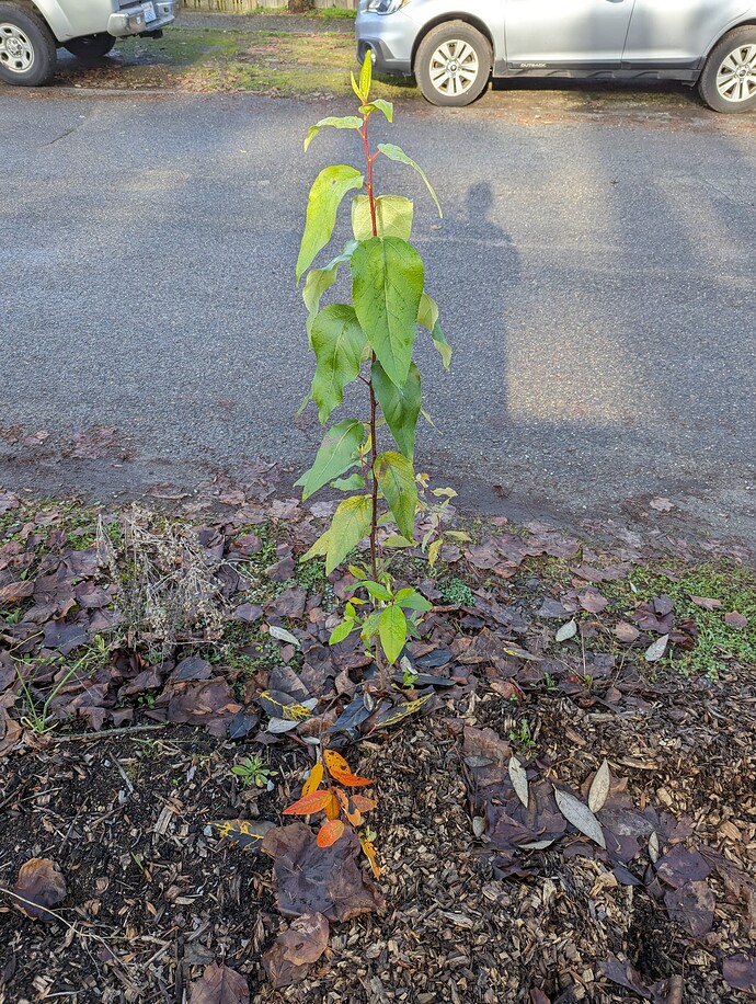 PXL_20231221_202622620