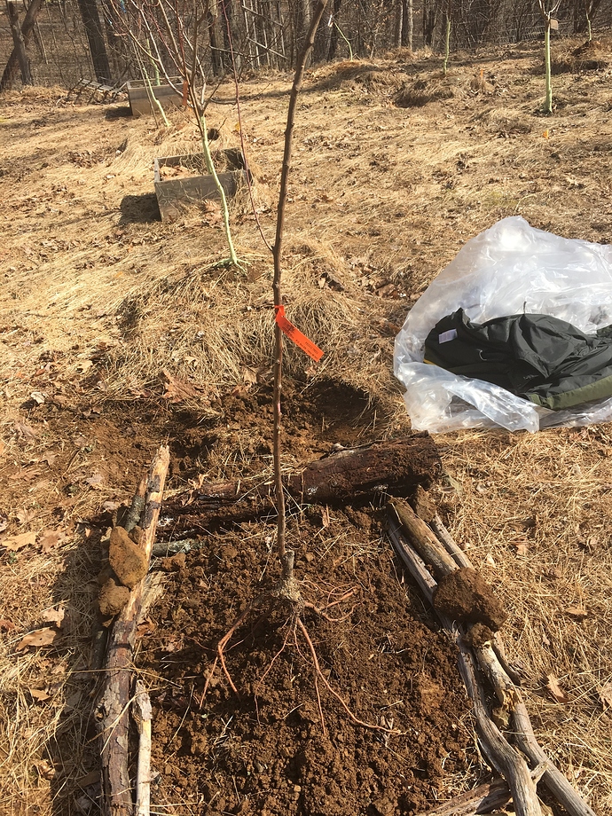 C3C19044-0B02-4814-A444-910283F30F81