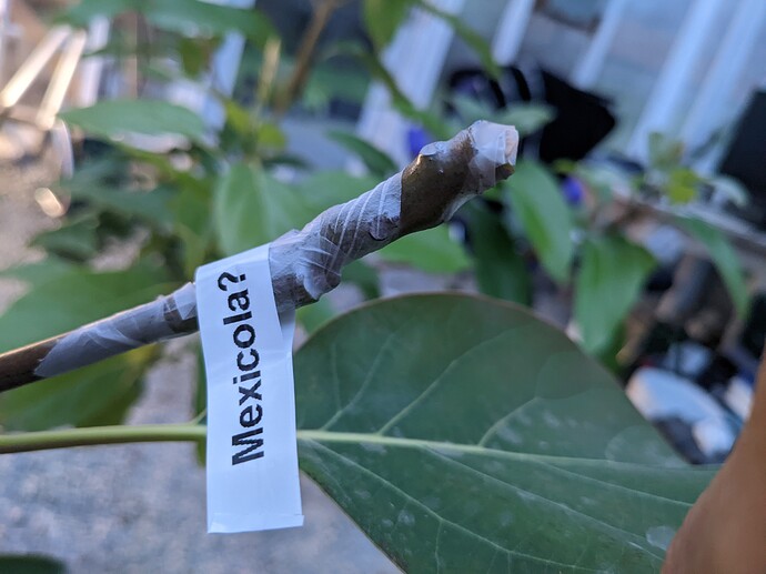 PXL_20220610_034255687.MP