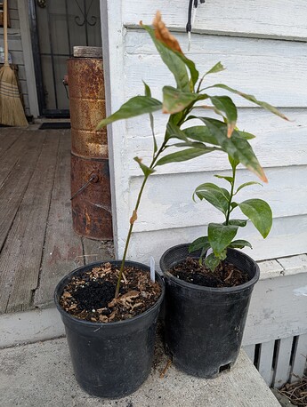 PXL_20250515_201858248