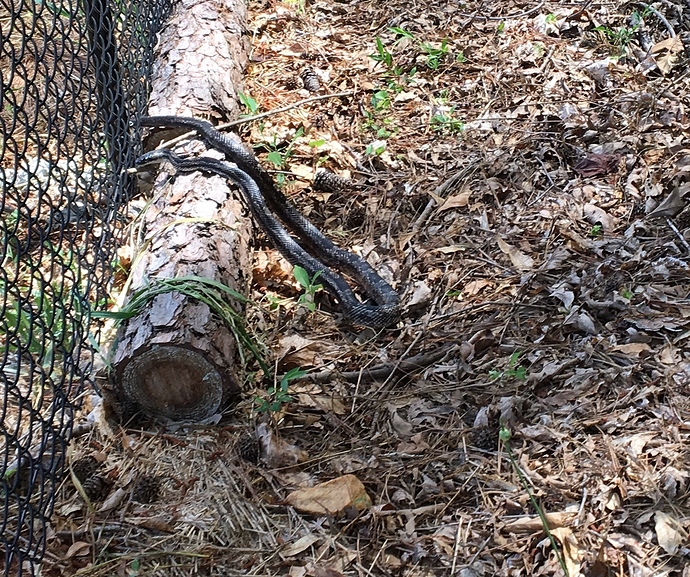 DCAB4144-7CA7-480F-A1FC-CD43351E1F43