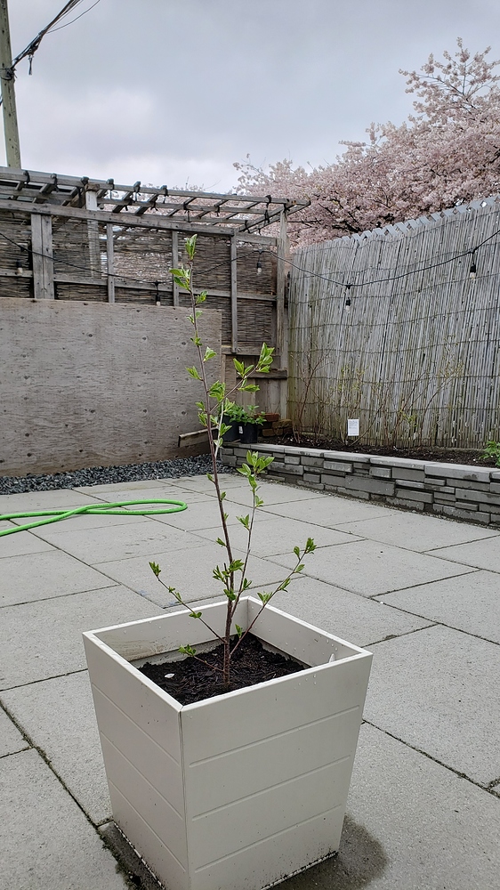 20190409_105653