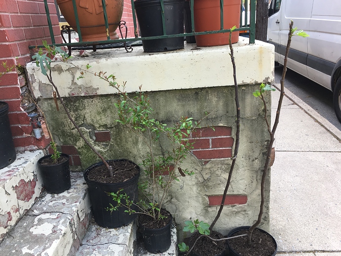 C9EB9CDD-5EE2-4A6F-97CA-4390F78B8A01