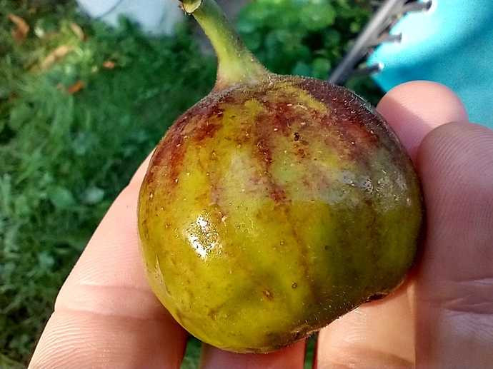 IMG_20201004_093144612_HDR