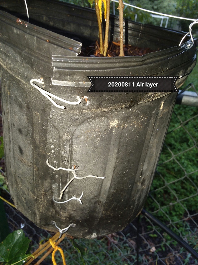 air%20layer%20in%20pot%2020200811_073337