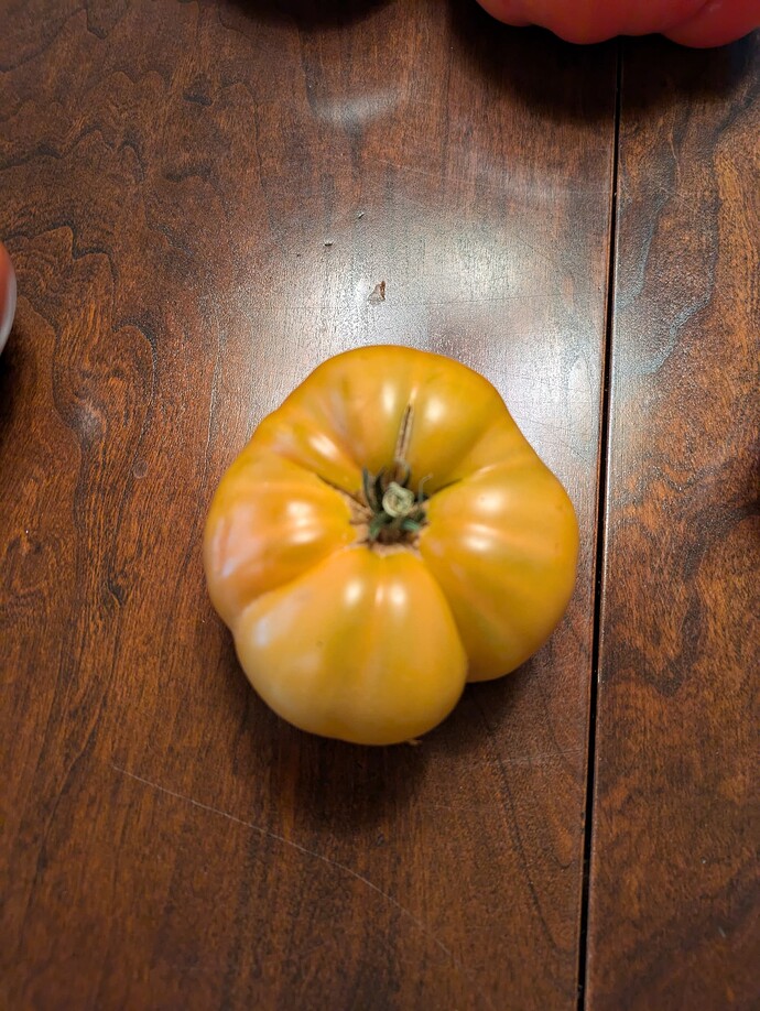 PXL_20240716_005239671