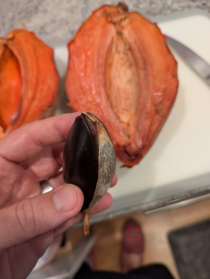 PXL_20250530_001143665