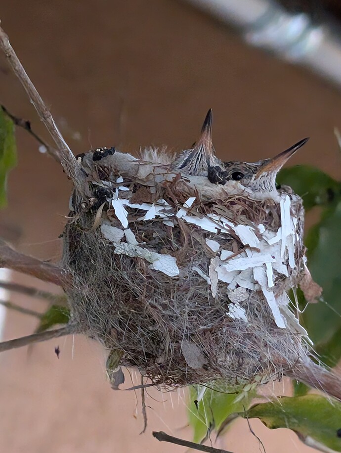 PXL_20250313_004542254