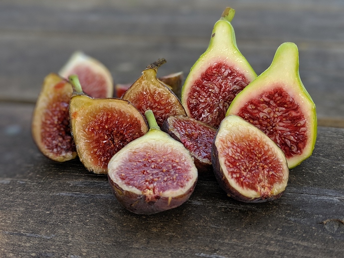 00100lPORTRAIT_00100_BURST20190928154214934_COVER