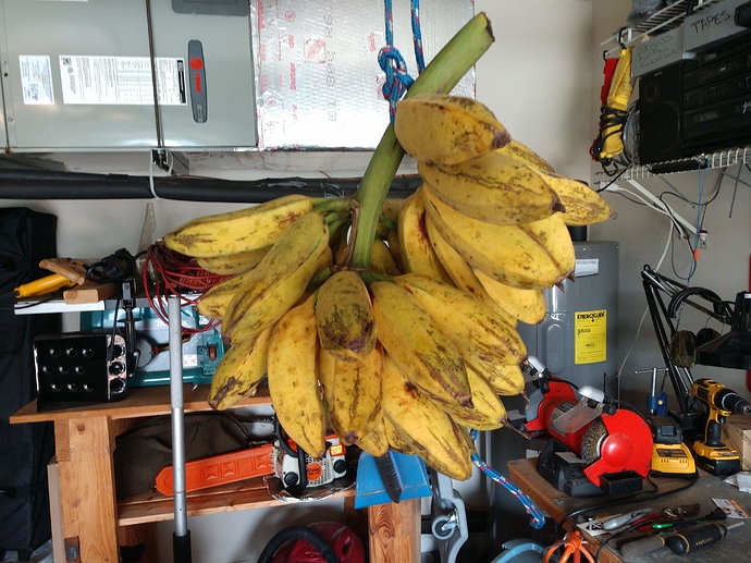 IMG_20190918_171407297