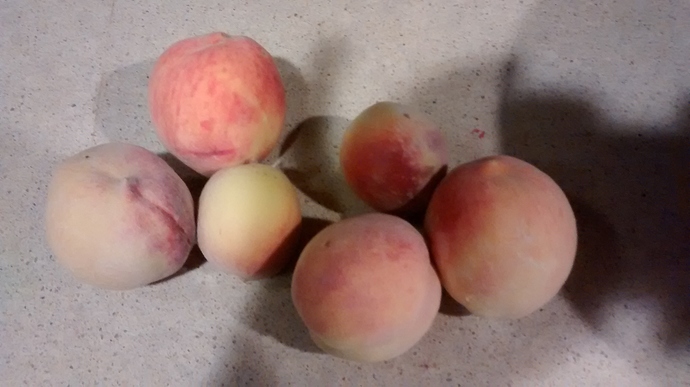 IMG_20180721_221244005