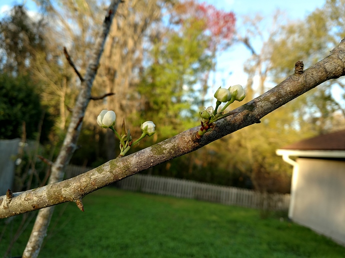 IMG_20180216_173503129_HDR