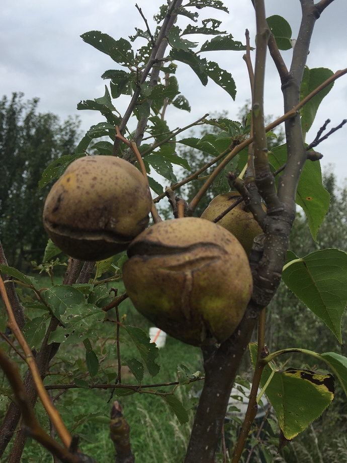 71950DF7-CE0C-4B61-8B10-822B50295BE1