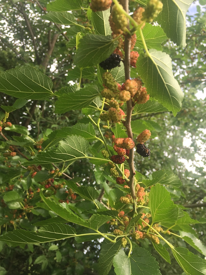 9FEA2568-DD99-471E-B0E4-21B7827EBEAF