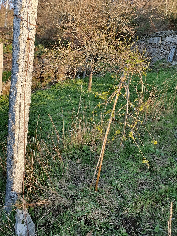 20190321_174238