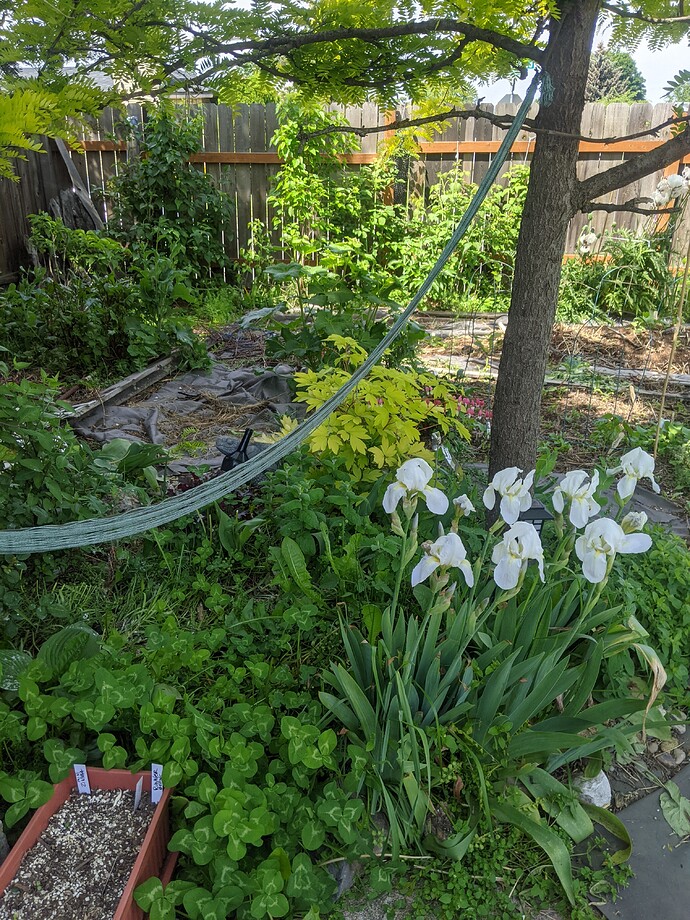 PXL_20220615_174431079