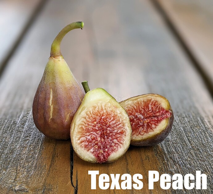 Texas Peach_2024d