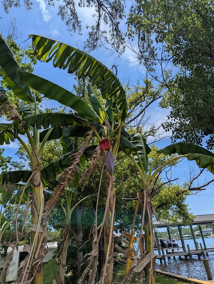 PXL_20250517_173613858