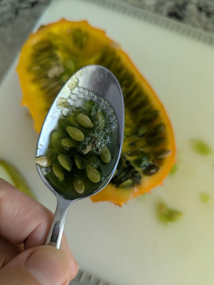 PXL_20250524_130220604