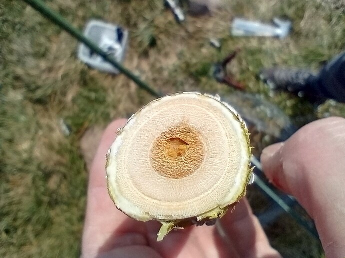 IMG_20250325_115214799_HDR