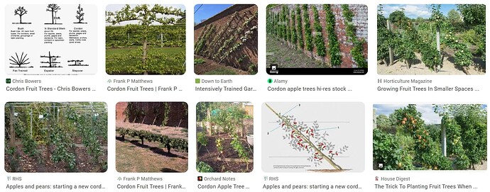 Screenshot 05-23-2025 08.46.39 cordon
