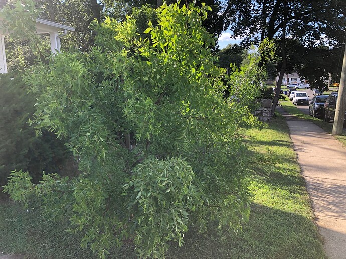 Bok_Jo_So_i_08-01-2023