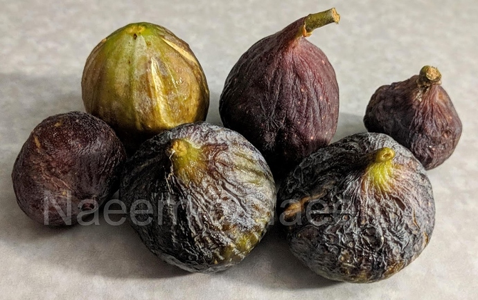 Harvest%2010-02-2019