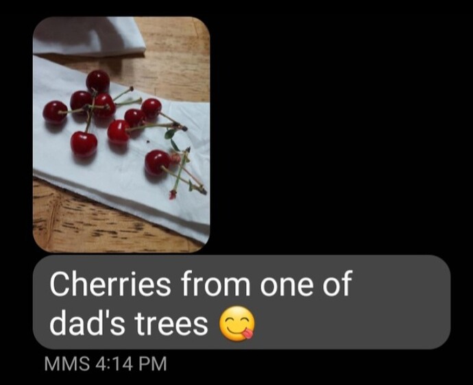 Screenshot_20240519_210202_Gallery