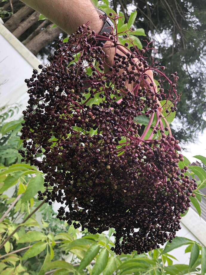 Bob_Gordon_a_08-17-2022