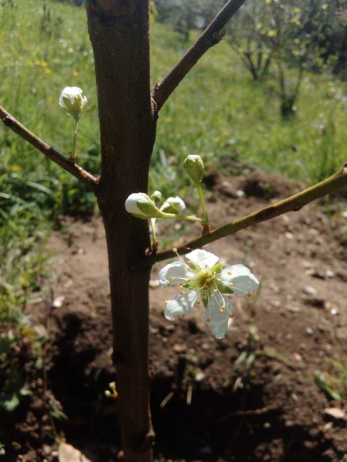 Imagem WhatsApp 2023-03-27 às 13.36.39