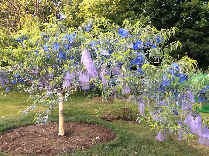 ADDE102A-2B9A-446D-BE8D-B4DA4E460246