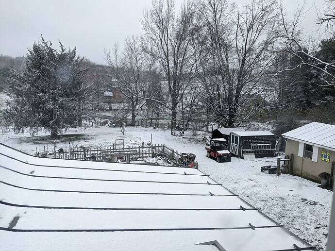 PXL_20230312_171101331