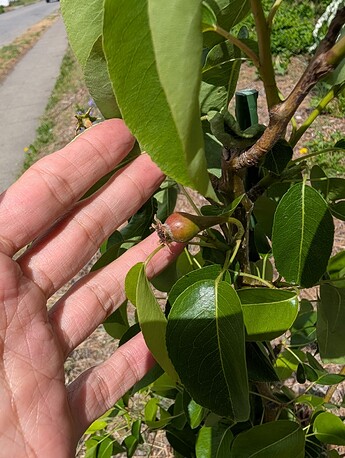 PXL_20250515_204748351