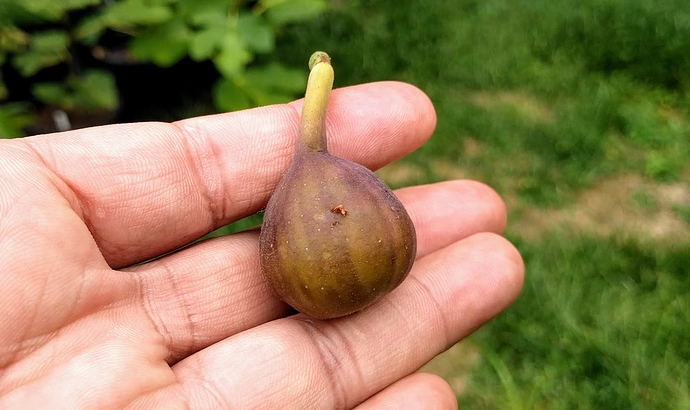 Easton%20Find%2009-09-19%20C