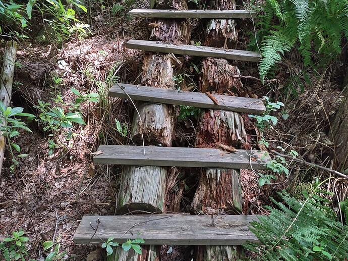 IMG_20230723_120540521_HDR