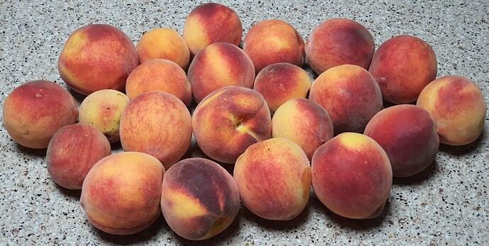 Harken Peach 07-31-21