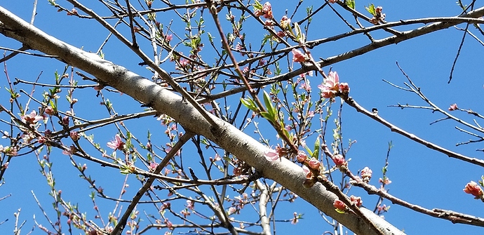 15876631651871933436065743707048