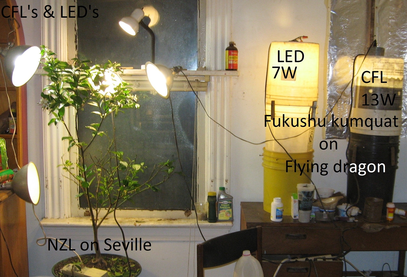 LED light General Fruit Growing Growing Fruit