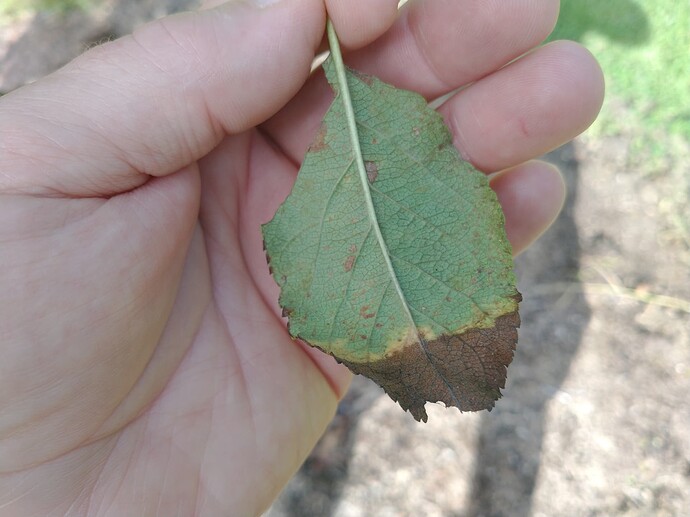 IMG_20220904_102905423