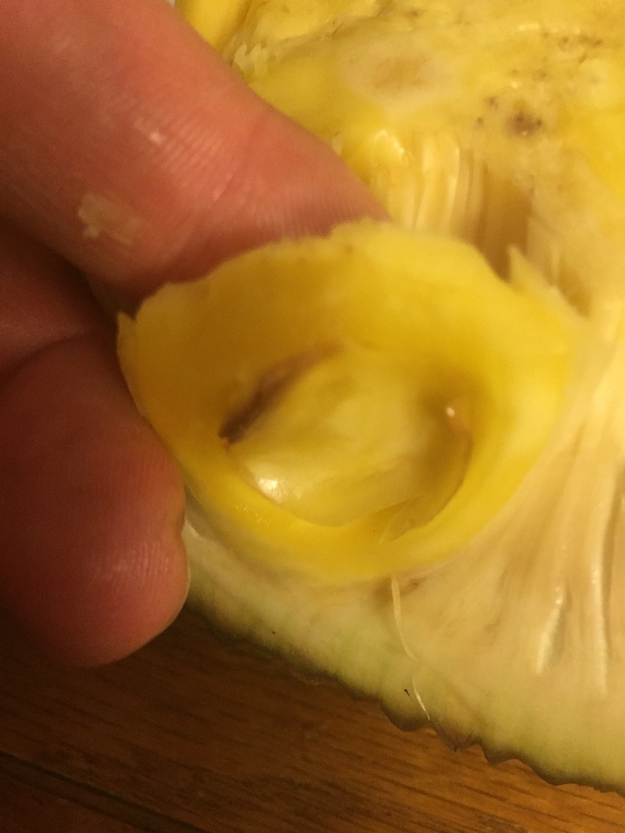 3D26856B-C694-4949-84A4-994F5F84AF53